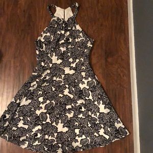 Express Skater Dress